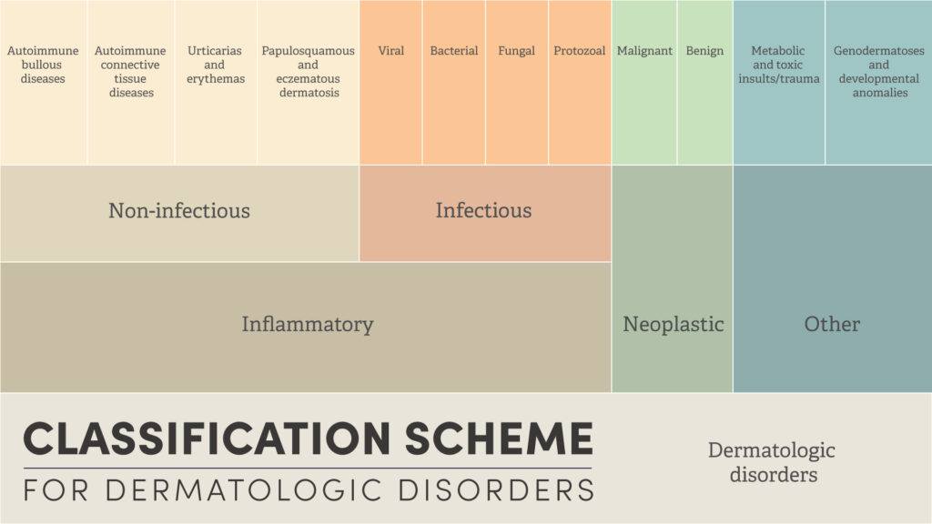 Dermatologic Disorders Classification Scheme